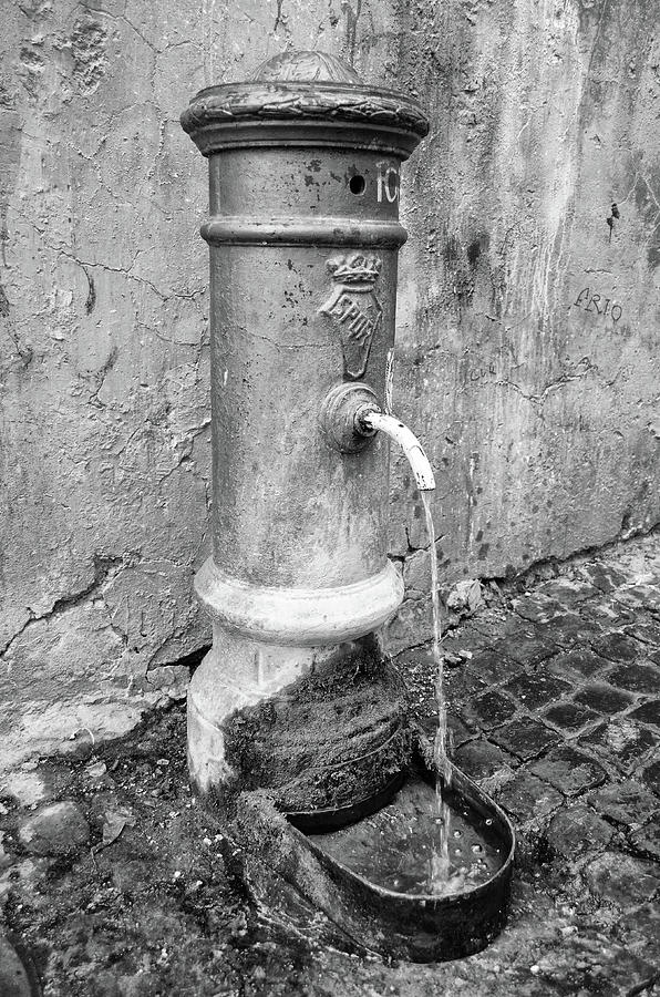 common-nasone-drinking-water-street-fountain-rome-italy-black-and-white-shawn-obrien