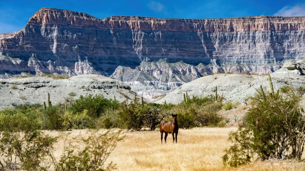 Baja California last frontier