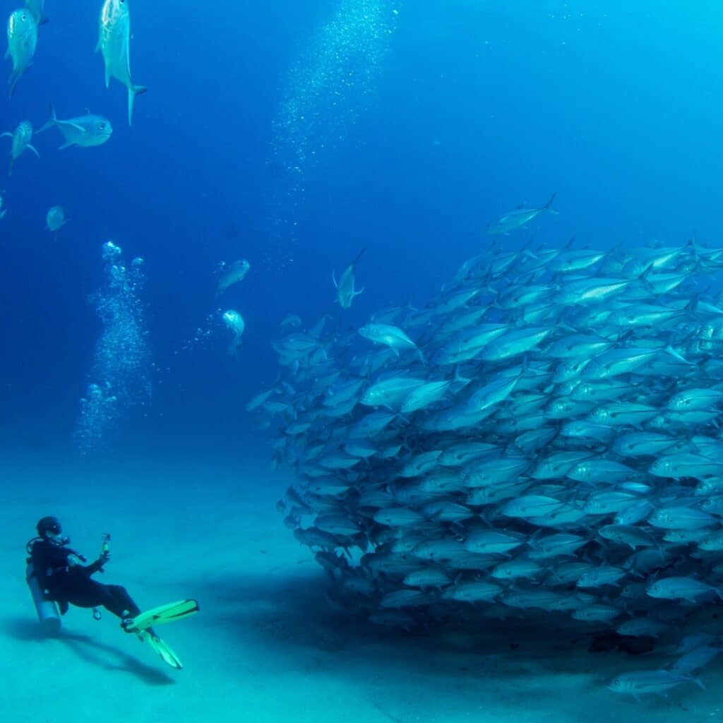 Cabo Pulmo baja california