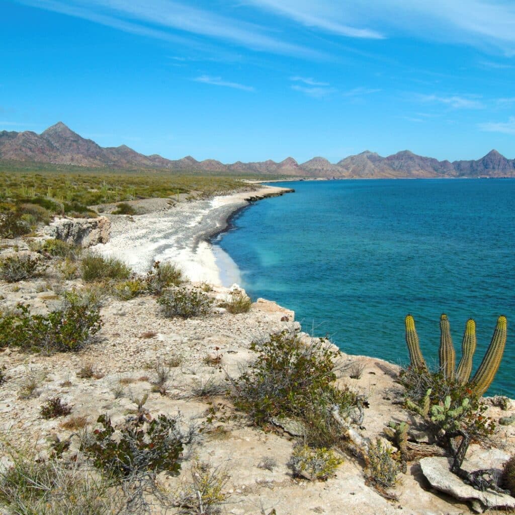 Desert and sea Baja California