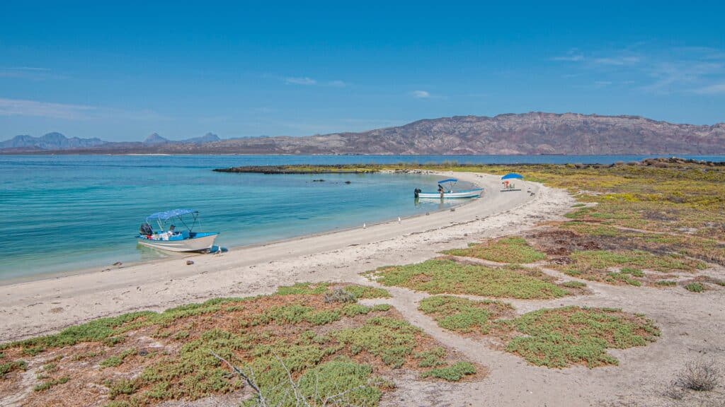 summer in Baja California