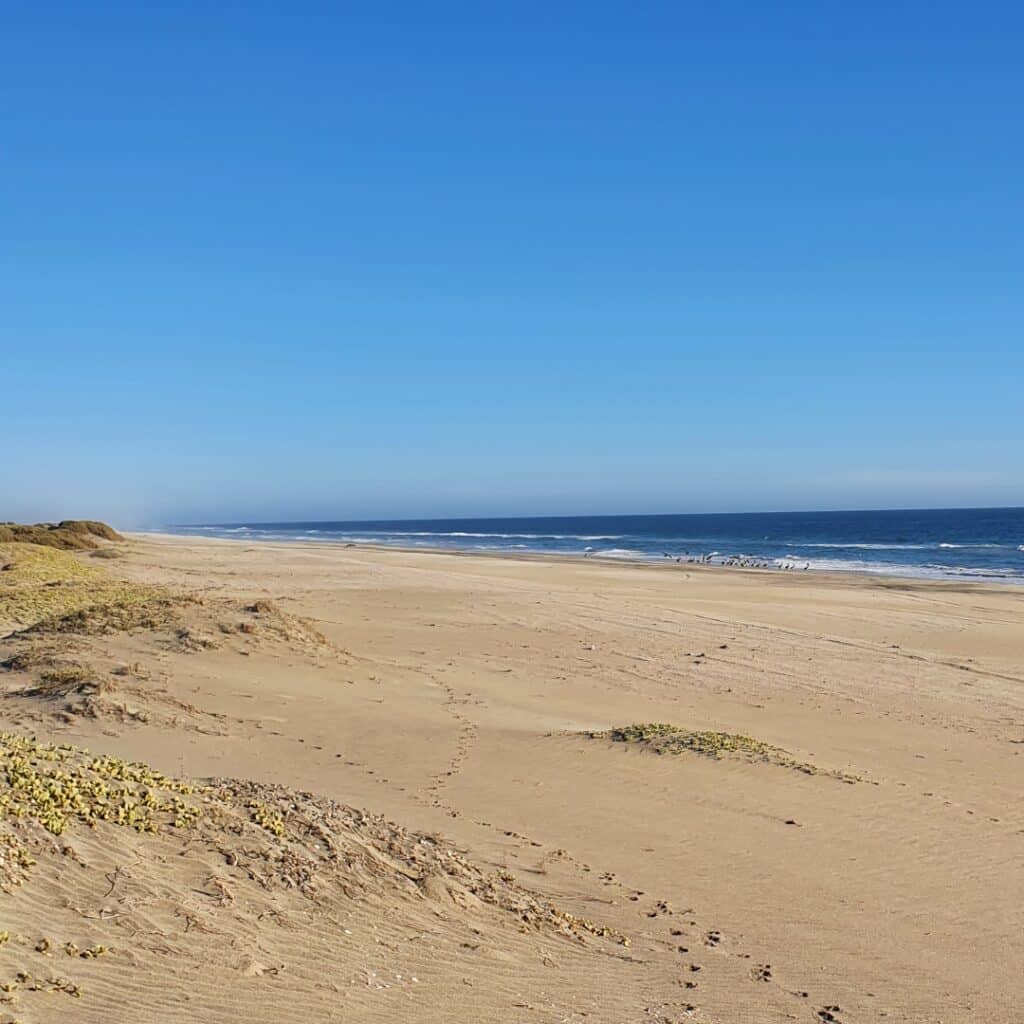 Pacific beach Baja california