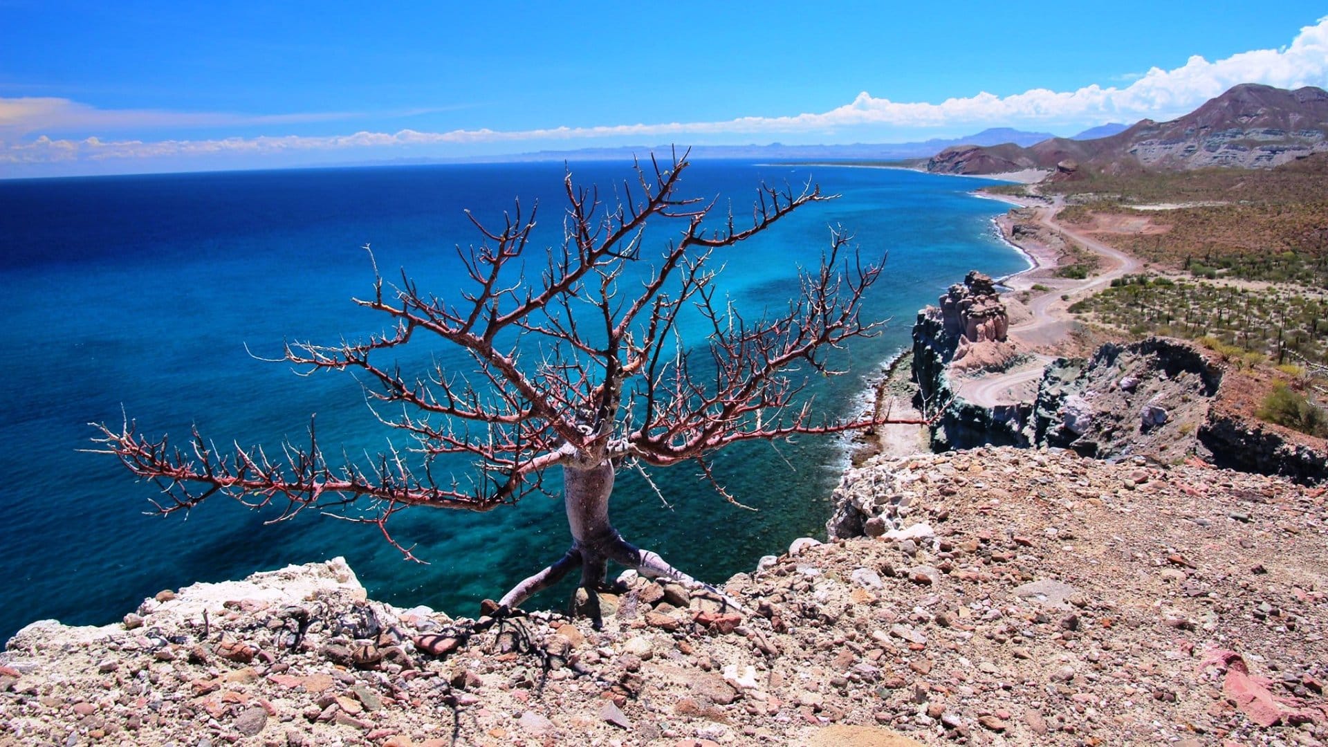 Sierra Baja California 5