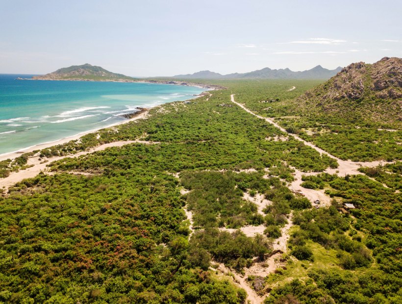 Spiagge remote Baja California