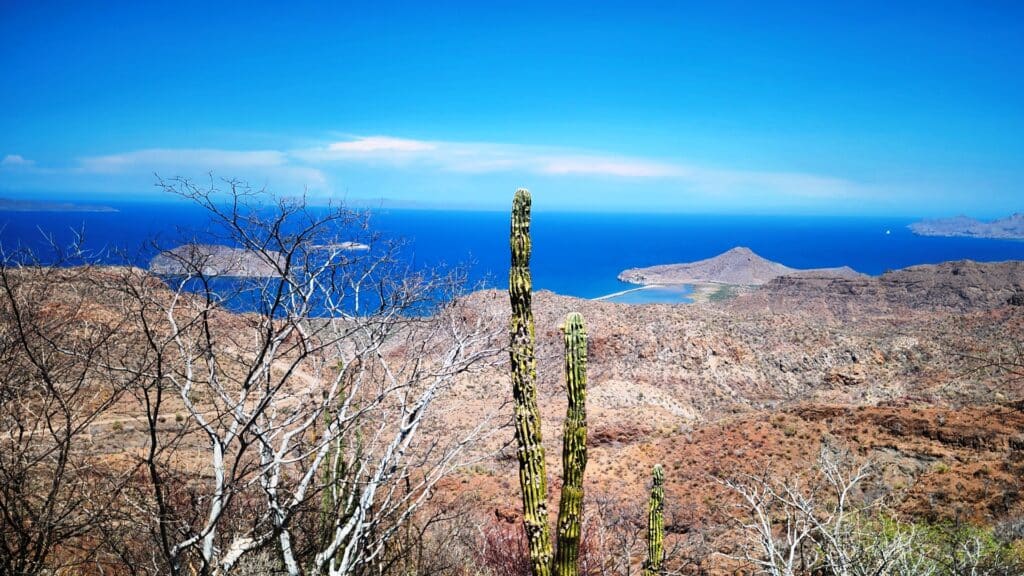 Exploring Baja California The Ultimate Self-Drive Adventure