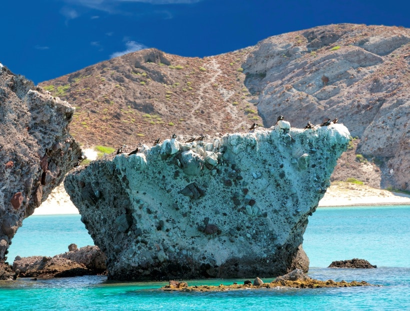 Espiritu Santo Island